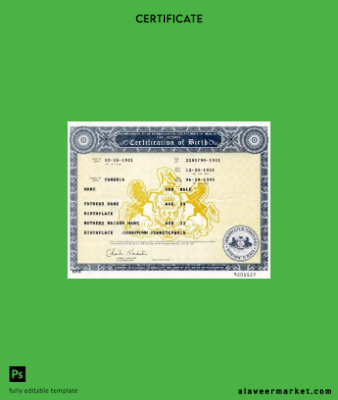 United States Commonwealth of Pennsylvania birth Sertifika