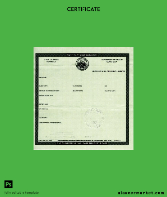 United States Department of Sağlık Hawaii certification of birth