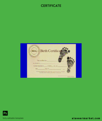 United States Mercy hospital birth Sertifika