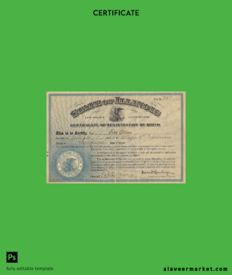 United States Public Sağlık of State of Illinois birth Sertifika