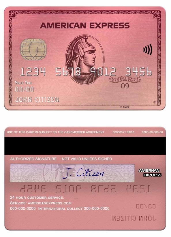USA Capital One bank amex rose gold card