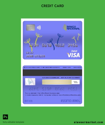 Costa Rica Banco Nacional Banka Vize Banka Kart