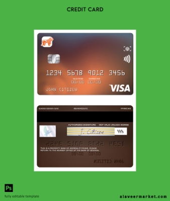Gürcistan Banka of Gürcistan Vize classic Kart