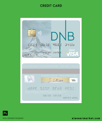 Litvanya DNB Banka Vize Banka Kart