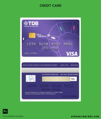 Moğolistan TDB Banka Vize payWave Kart