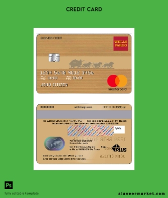USA Wells Fargo Banka Kart brown
