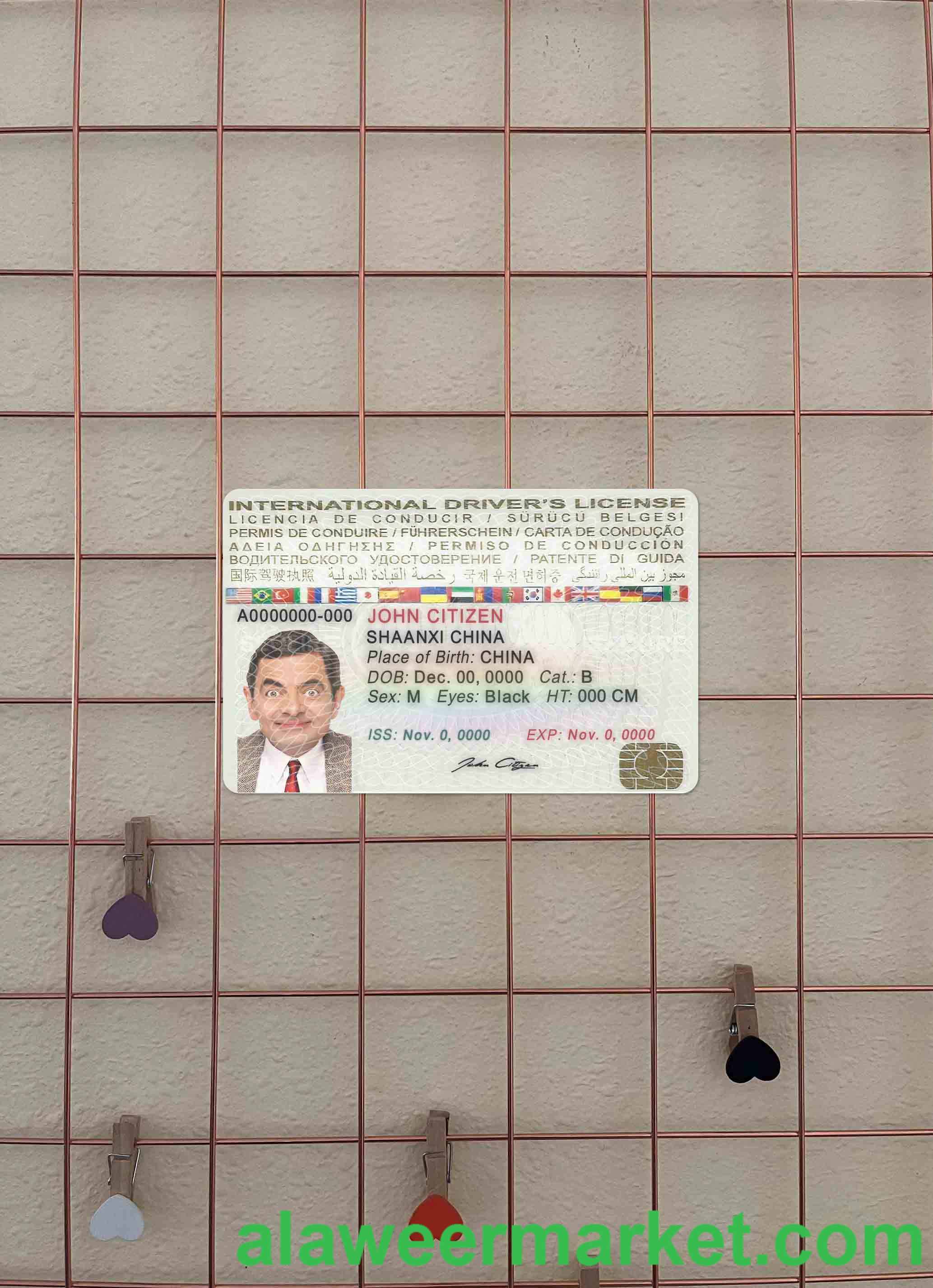 International driver_s license photolook FRONT