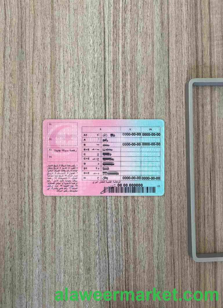 Tunisia driving license photolook BACK