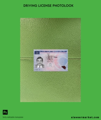 Belçika Sürücü Belgesi Belge 2019-present photolook Ön