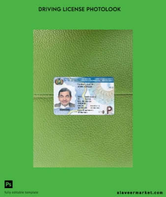 Bolivya Sürücü Belgesi Belge Şablon (2017 – present) photolook Ön