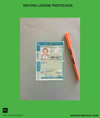 Brezilya DL (Detran-Pe[Pernambuco) photolook