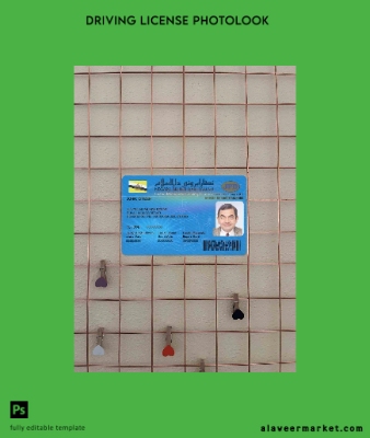 Brunei Sürücü Belgesi Belge photolook Ön