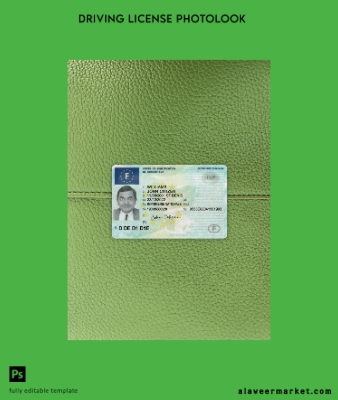 Fransa Sürücü Belgesi Belge 2022-present photolook Ön