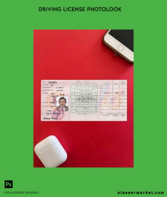 Guinea DL photolook