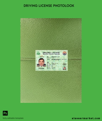 Hindistan Punjab Sürücü Belgesi Belge 2021-present photolook Ön