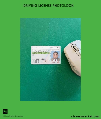Japonya DL photolook Ön
