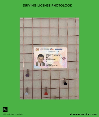 Malezya DL photolook Ön
