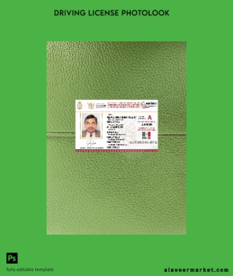 Meksika Guerrero state Sürücü Belgesi Belge photolook Ön
