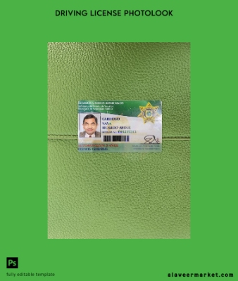 Meksika Yucatan state Sürücü Belgesi Belge photolook Ön