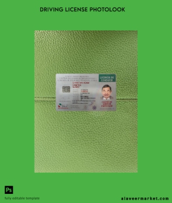 Meksika Sürücü Belgesi Belge 2019-present photolook Ön