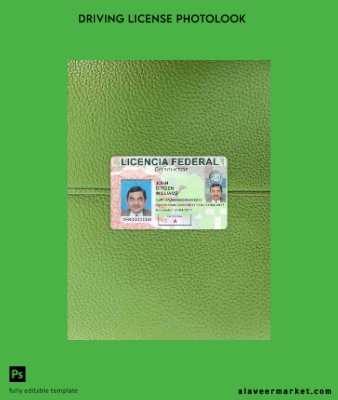 Meksika Sürücü Belgesi Belge photolook Ön