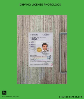 Filipinler International Sürücü Belgesi İzni (Vienna Convention format) photolook