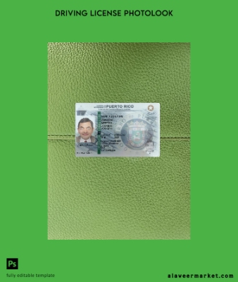 Puerto Rico Sürücü Belgesi Belge 2022-present photolook Ön