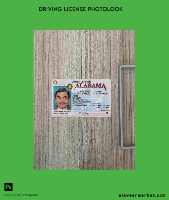 USA Alabama DL photolook Ön