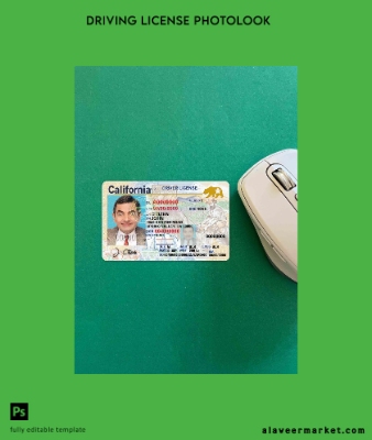 USA California DL (2018, January – present) photolook Ön