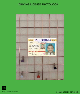 USA California Sürücü Belgesi Belge version 3 photolook Ön