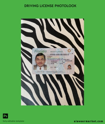 USA Kimlik Kartı Sürücü Belgesi Belge 2018-present photolook Ön