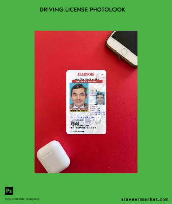USA Illinois Sürücü Belgesi Belge under 21 photolook Ön