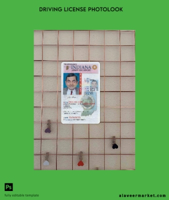 USA Hindistan Sürücü Belgesi (operator) Belge under 21 photolook Ön