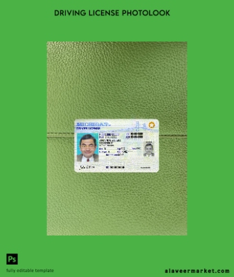 USA Michigan DL 2021-present photolook Ön