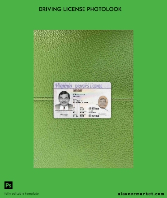 USA Virginia Sürücü Belgesi Ön photolook