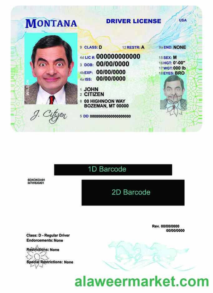 USA Montana driving license