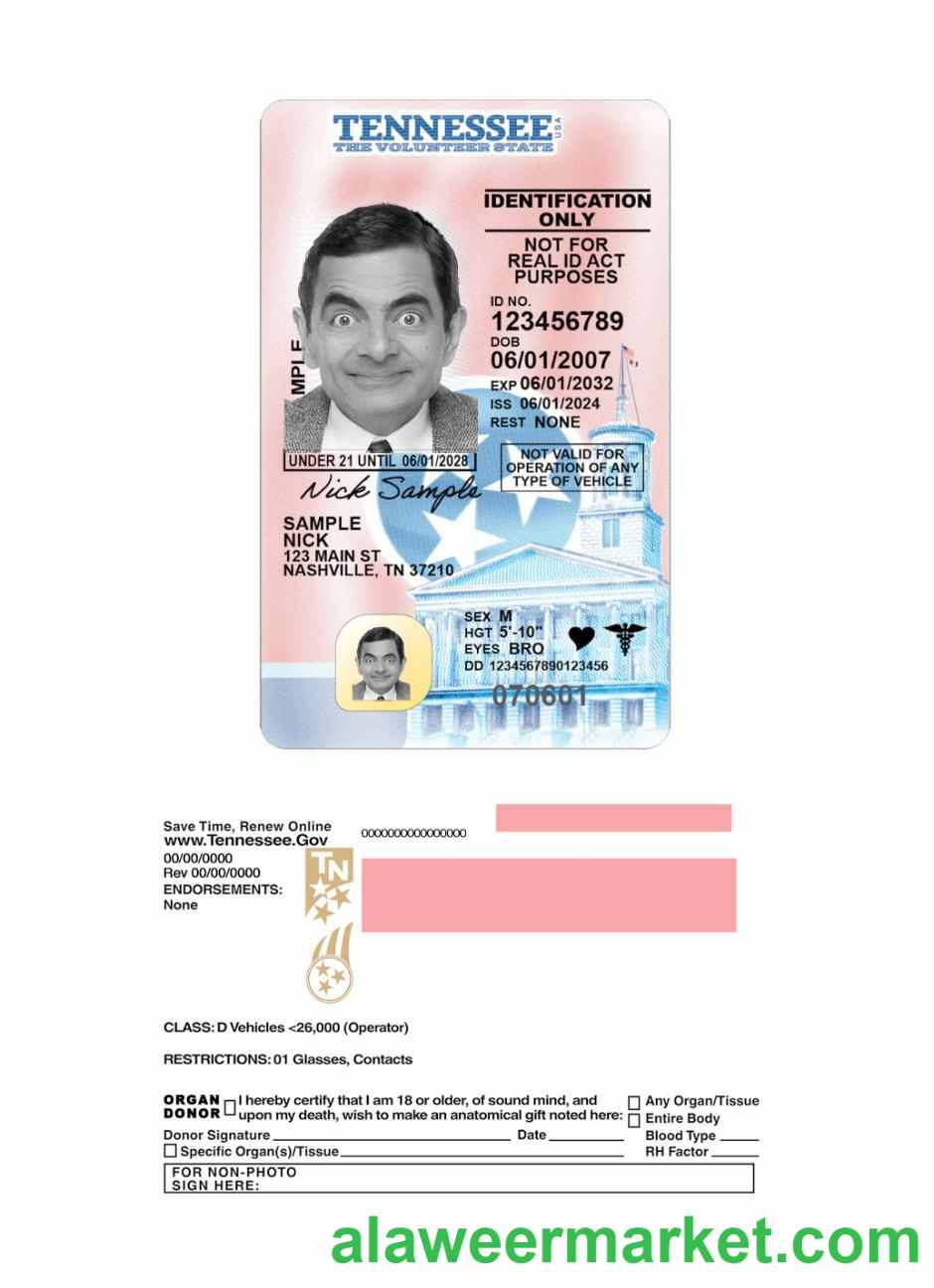 USA Tennessee under 21 driving license 2024-present