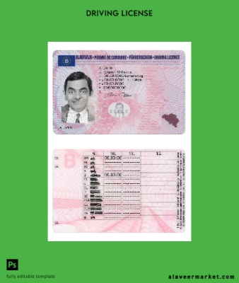 Belçika DL version 2