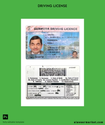 Bermuda Sürücü Belgesi Belge