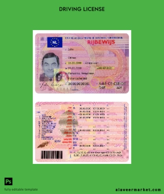 Hollanda DL