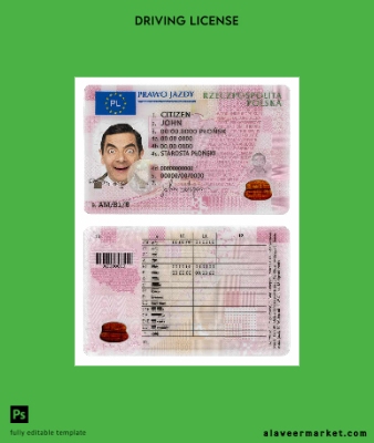Polonya DL 2019 - present