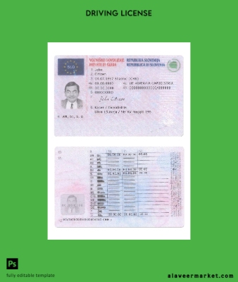 Slovenya Sürücü Belgesi Belge