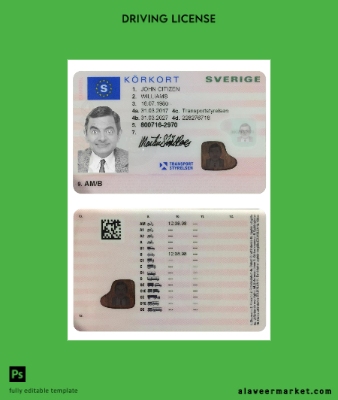 İsveç Sürücü Belgesi licence (2016-present)