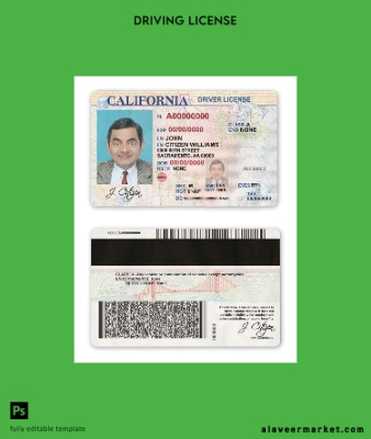 USA California driver Belge