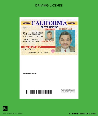 USA California Sürücü Belgesi Belge version 3