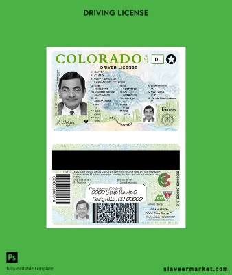 USA Colorado Sürücü Belgesi Belge