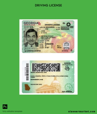 USA Gürcistan DL (2019 - present)