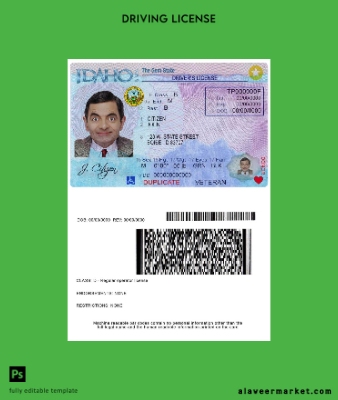 USA Kimlik Kartı driver Belge