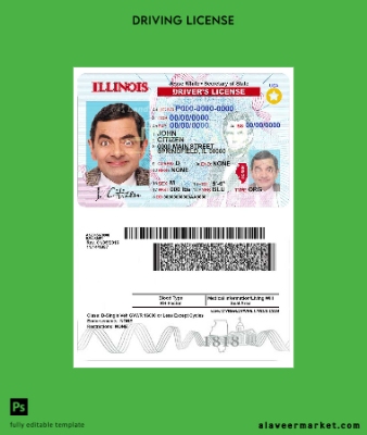 USA Illinois Sürücü Belgesi Belge