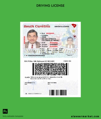 USA South Carolina state Sürücü Belgesi Belge (2020 – present)